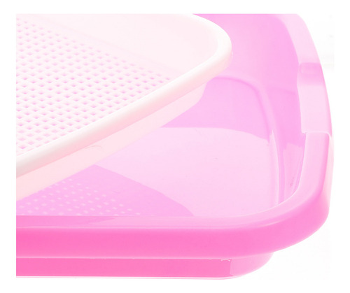 Nova Bandeja Para Germinar Capim-de-trigo Rosa, Sem