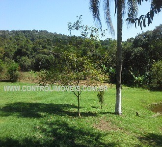Imagem 5 de 5 de Rural - Ref: 00640