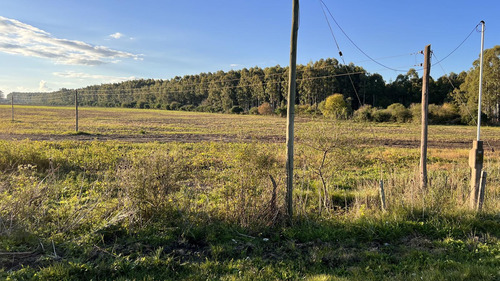 Parcela 1 Ha Zona Acceso A Villa Elisa Entre Ríos