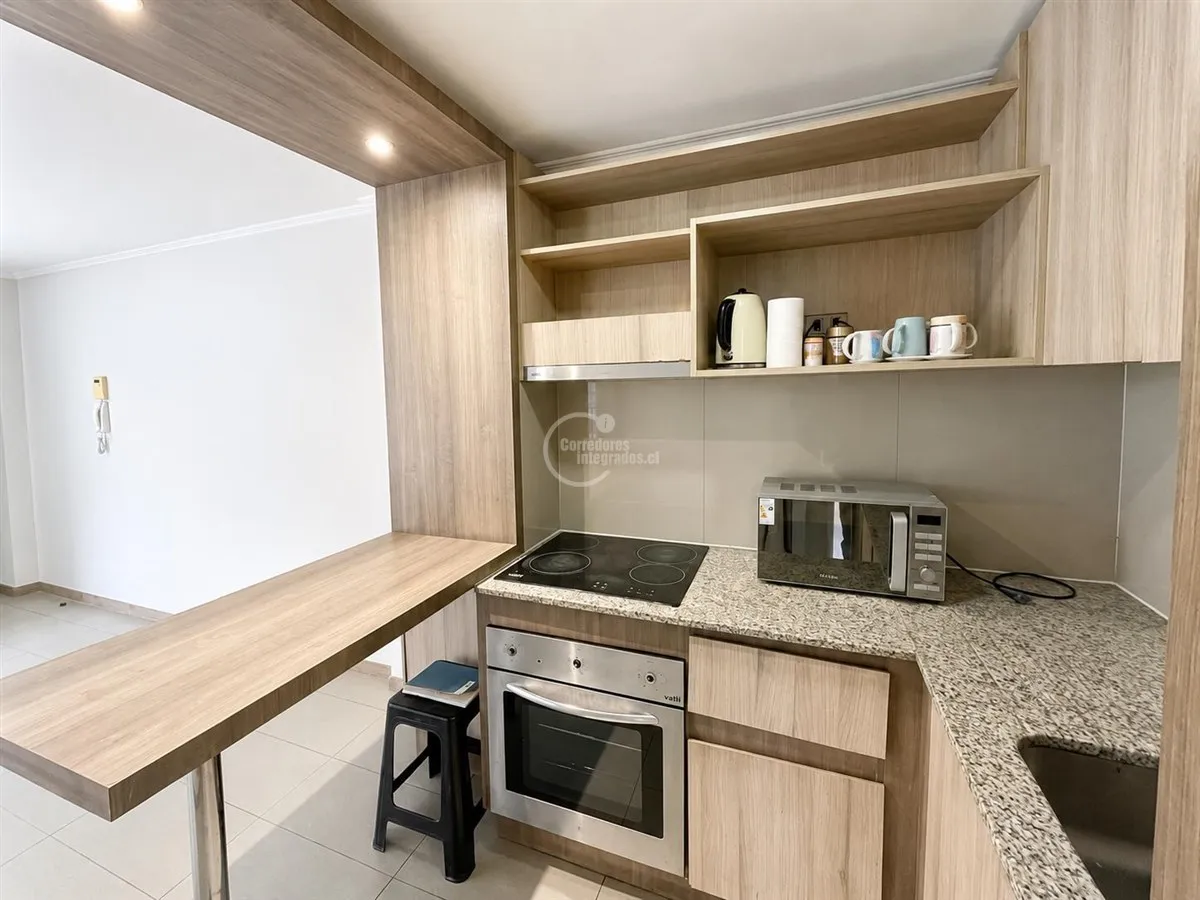 Imagen 3 de 12 de Departamento En Arriendo De 2 Dorm. En Independencia