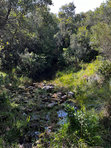 Chacras De 5 Hectáreas En Las Sierras De Aiguá, Maldonado