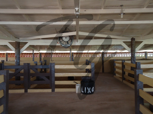 Imagem 8 de 13 de Fazenda - Fa00003 - 69828304