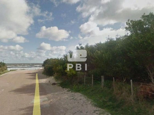 Imagen 7 de 7 de Terreno En Venta Punta Ballena - Ref : Pbi975