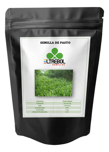 Semilla De Pasto Forrajero Var. Maxci (1 Kg)