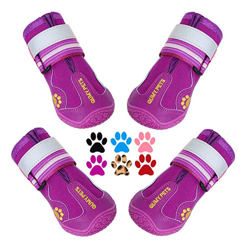 Calzado Mascota Zapato Talle 5 Color Purpura