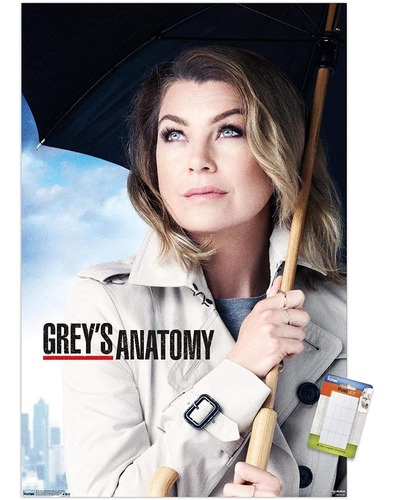 Grey&#39;s Anatomy Season 12 - Póster De Pared De Una ...