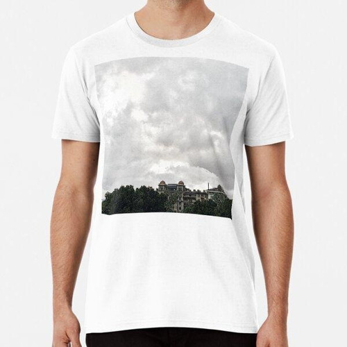 Remera Nubes Sobre Verde Castillo Algodon Premium 