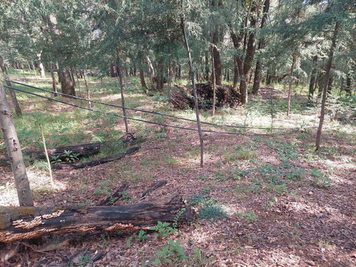 Terreno En Jilotzingo