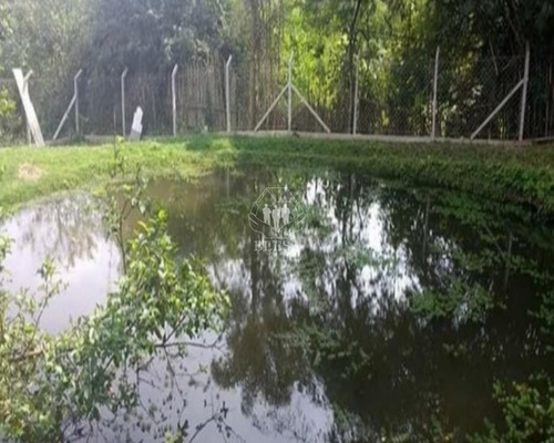Imagem 2 de 16 de Chacara - Ch00195 - 70021354