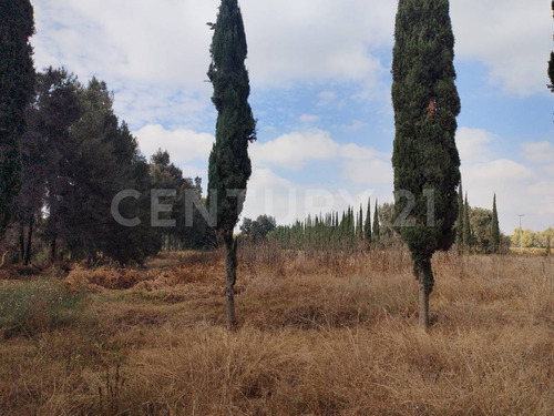 Terreno En Venta, Atotonilco De Tula