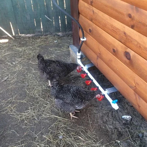 Bebedero Para Patos Regaderas Para Aves De Corral 5pcs Vasos