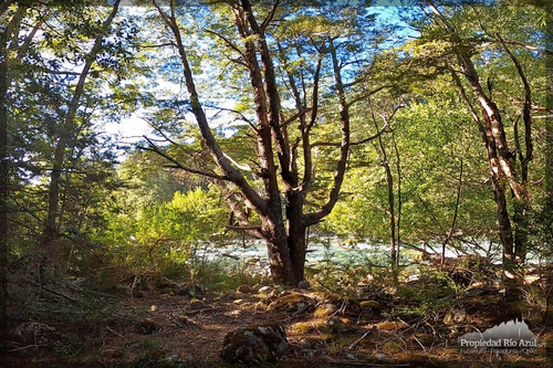 Hermosas Parcelas Orilla De Rio Azul