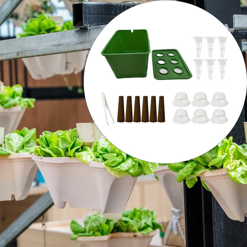 De Cultivo Hidropónico, De Jardinería De Alto Verde