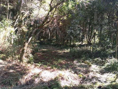 Imagem 15 de 15 de Cod 5906 - Chácara Com Riacho, Medindo 4.700 M² - 5906