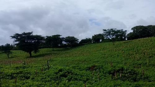 Imagen 9 de 12 de 20 Mzs Carretera Suburbana - Managua