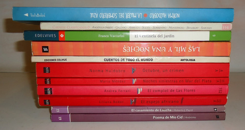 Lote 11 Libros Novela Corta Niños Colegio (Usado)