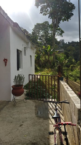 Imagen 3 de 14 de Casa En Venta Potrero Del Pueblo El Amarillo Casavenezia