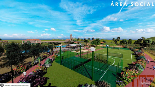 Venta De Terrenos Con Corredor Vinícola En Bernal