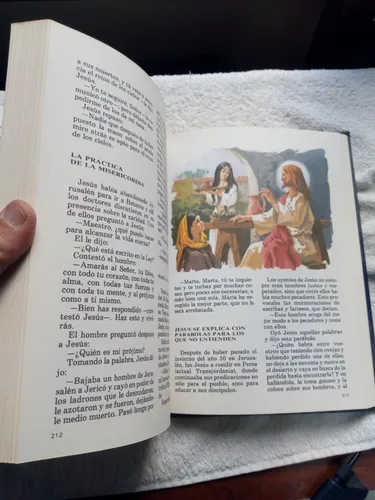 La Biblia Para Jovenes - Antiguo / Nuevo Testamento- T. Dura (Usado)