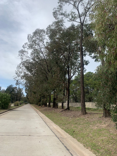 Lote En Venta St Thomas Centro Sector Golf -canning- Consultar Financiación-