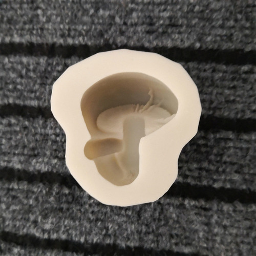 Molde De Silicona Hongo