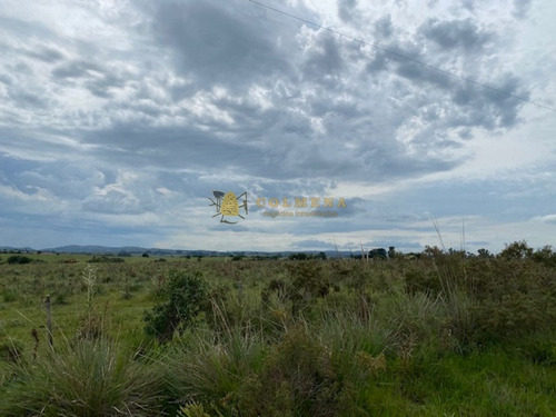 Campo En Garzon - Ideal Para Uso De Descanso - Consulte!!!!- Ref: 3606