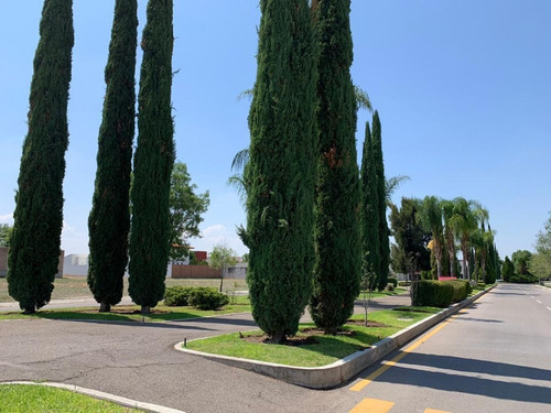 Imagen 8 de 9 de Terreno En Venta En Exclusivo Desarrollo: Santa Paulina. 150