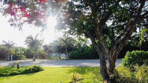 Imagen 5 de 7 de Terreno En Venta En Residencial Phúla Dzidzilché, Yucatán. C