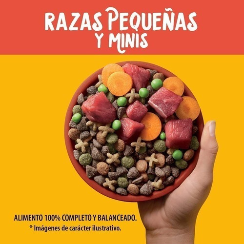 Alimento Para Perro Pedigree Razas Pequeñas Y Minis 10 Kg