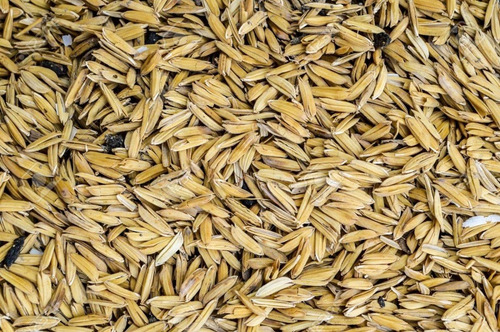 Imagen 5 de 6 de Cascara Cascarilla De Arroz 22 Litros En Bolsa Biodegradable