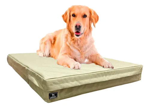 Cama Perro Grande Colchoneta Antidesgarro Impermeable 100x70