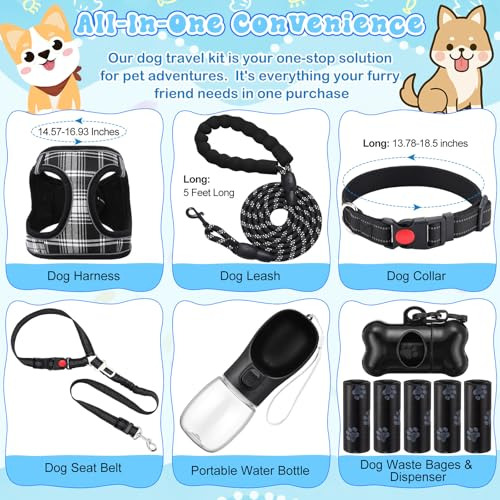 Jgo 11 Pzas Arnés Y Collar Antitirones Para Perros Kit De In