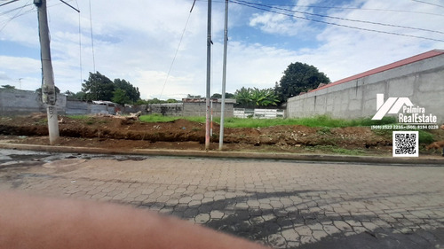 Imagen 3 de 8 de Venta De Terrenos En Masaya