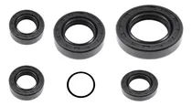 Comprar Blackstone Bks 300 S 4v Juego Retenes Motor Doble Labio  