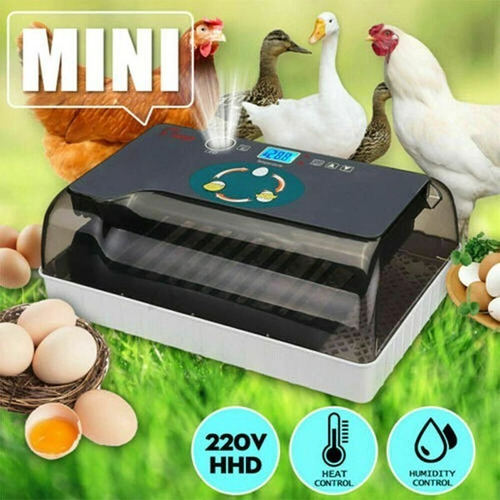 Imagen 9 de 10 de Incubadora De 12 Huevos Full Automatica, Gallina Codorniz