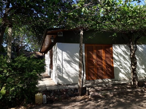Vendo Bodega Con Viñedos Y Elaboración Propia