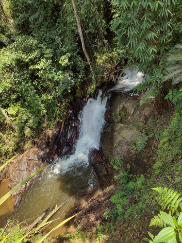 Imagem 5 de 12 de Terreno Em Miracatu-sp Medindo 8 Alqueires Com Cachoeira