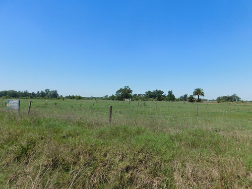 Lote De Terreno En Venta Financiada De 2500 Mts En Chascomus