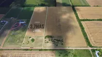 Comprar Venta - Chacra - 3.7 Hectareas - San Roque - Carmelo - Colonia 