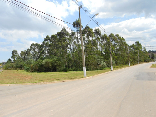 Imagem 13 de 13 de Vendo Terreno Lote Comercial Pronto Para Construir Com Escritura Cotia Sp R$ 912,59 Mensais 150,00 Metros 6 X 25 Acesso A Internet Bem Plano Invista No Seu Futuro