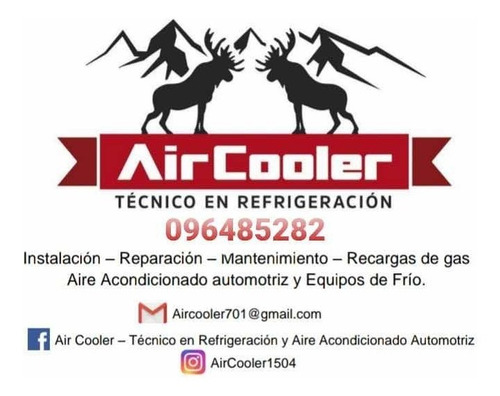 Imagen 2 de 5 de Equipos De Frío - Acondicionado Automotriz