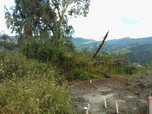 Imagen 12 de 30 de Terrenos En Venta Sanare Andres Eloy Blanco 22-21671 #m