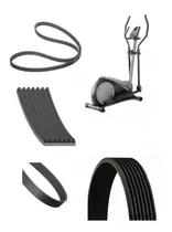Comprar Correa Transmisión Elípticas Gold's Gym Strider Trainer 310