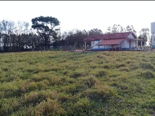 Fazenda À Venda Em Echaporã/sp - Fa00122 - 69026868