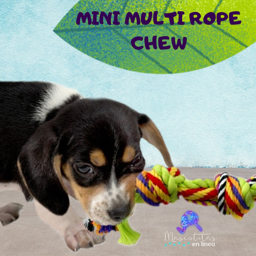 Imagen 3 de 6 de Mini Multirope Petstages Cuerda De Morder Perro Gato Mascota
