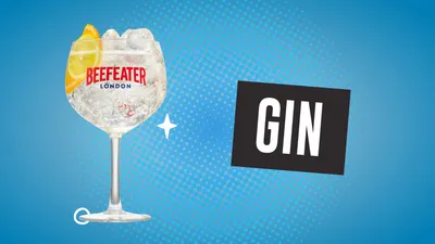 Las mejores marcas de Gin