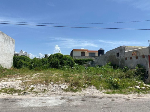 Venta De Terreno, En Progreso,yucatán.