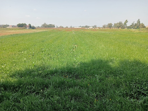 Terreno En Venta En San Felipe Texcoco De Mora Estado De Mèxico