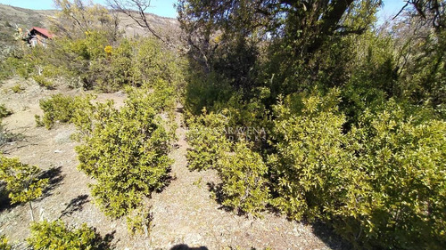Imagen 26 de 30 de Susana Aravena Propiedades-lote En Venta En Vallescondido