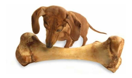 Hueso Para Perro Femur Cerdo Natural Snack